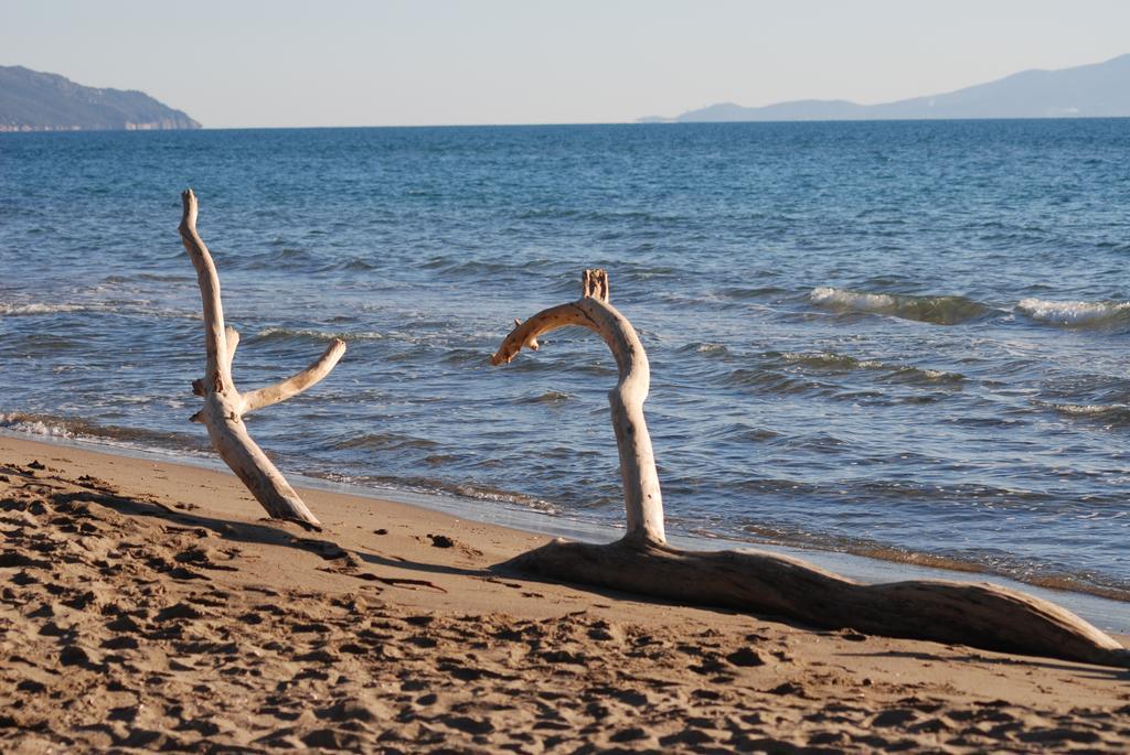 Villetta Lorenza Marina di Grosseto Kültér fotó