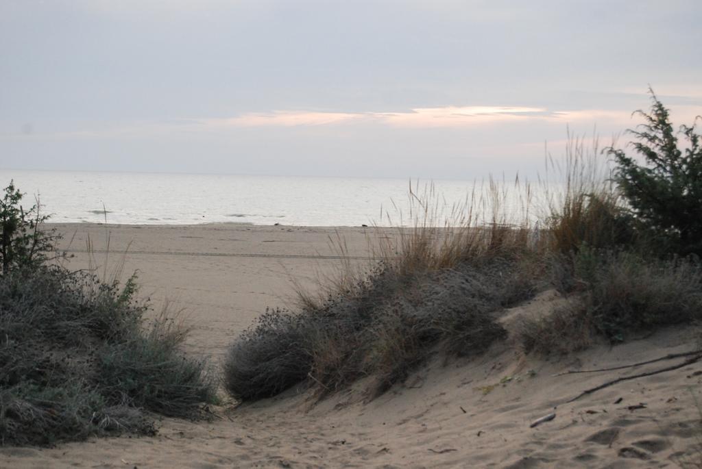 Villetta Lorenza Marina di Grosseto Kültér fotó